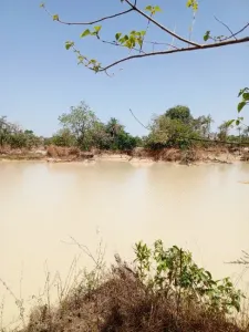 Teren construibil De vânzare 0000 Brikama Gambia  DE