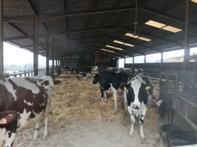 Fermă De vânzare 54000 GRAFIGNY FR
