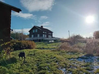 Fermă De vânzare 91991 Åsele SE
